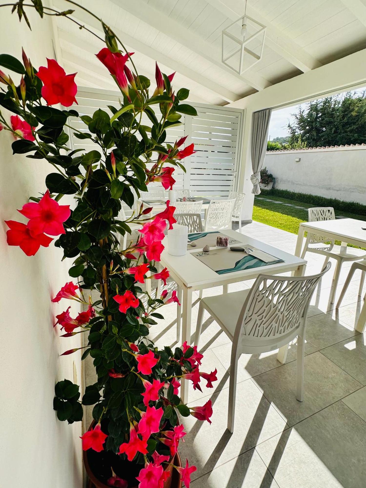 Invilla Bed&Breakfast - Quality Rooms Santa Maria di Castellabate Buitenkant foto