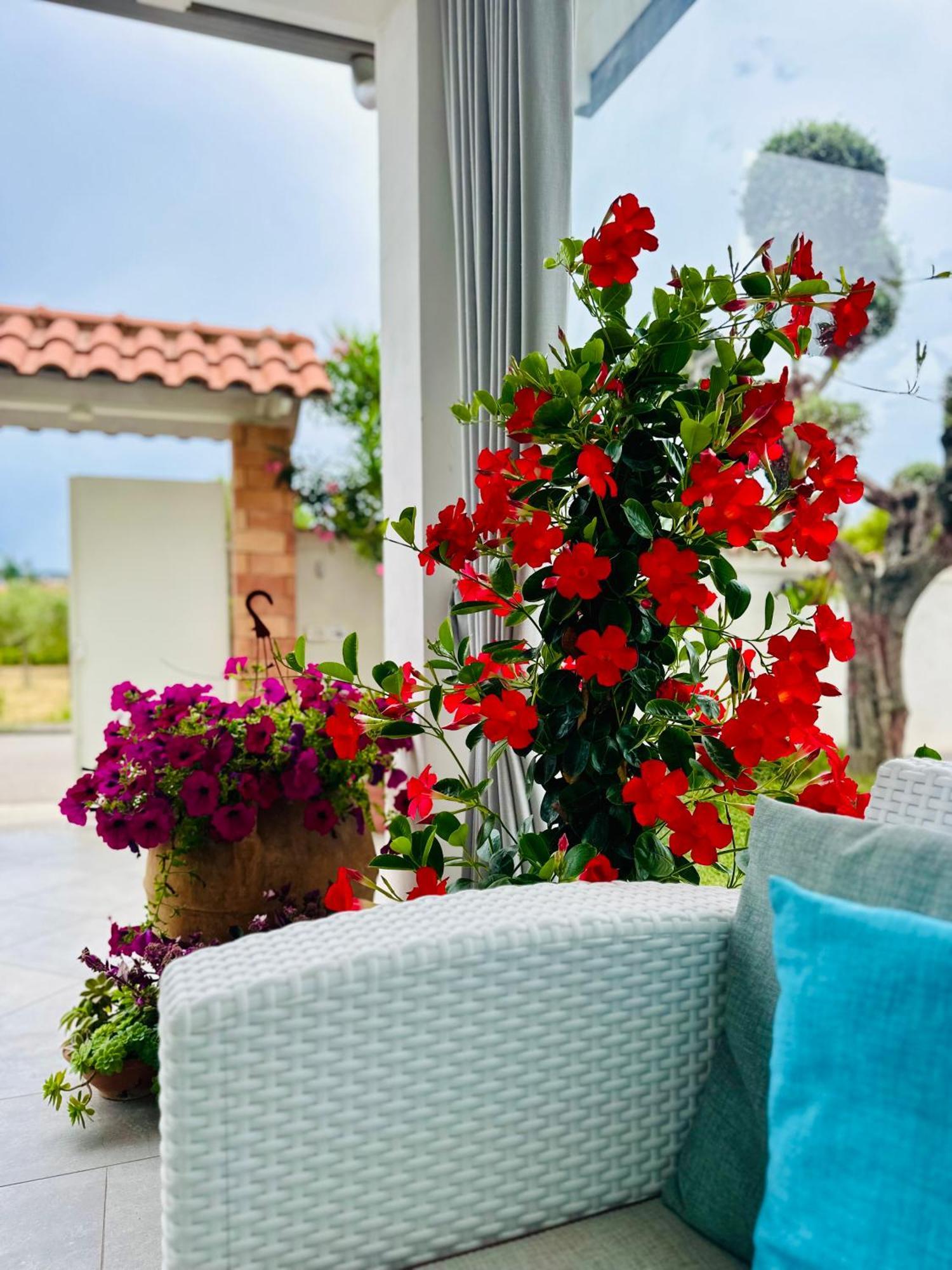 Invilla Bed&Breakfast - Quality Rooms Santa Maria di Castellabate Buitenkant foto