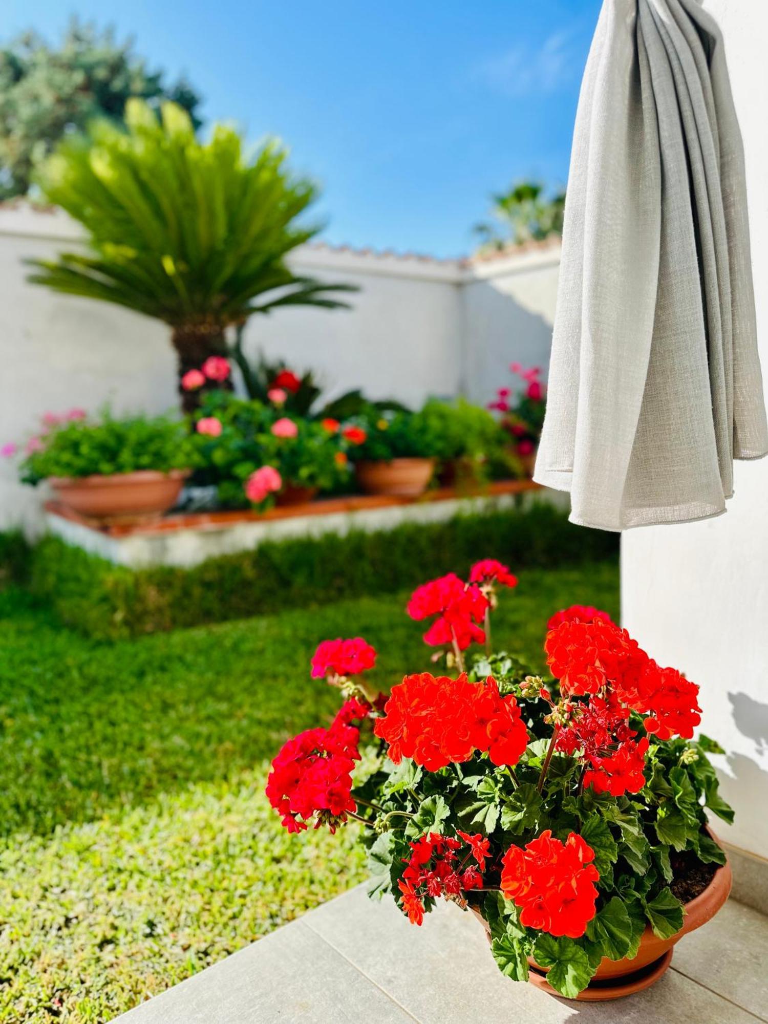 Invilla Bed&Breakfast - Quality Rooms Santa Maria di Castellabate Buitenkant foto