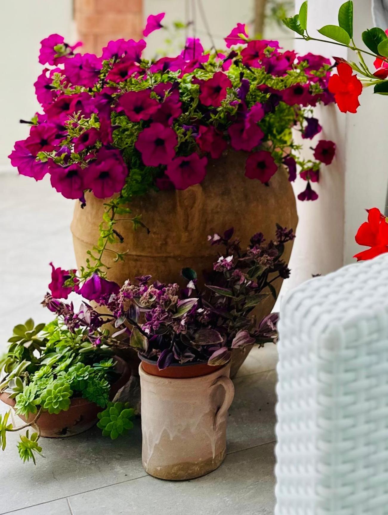 Invilla Bed&Breakfast - Quality Rooms Santa Maria di Castellabate Buitenkant foto