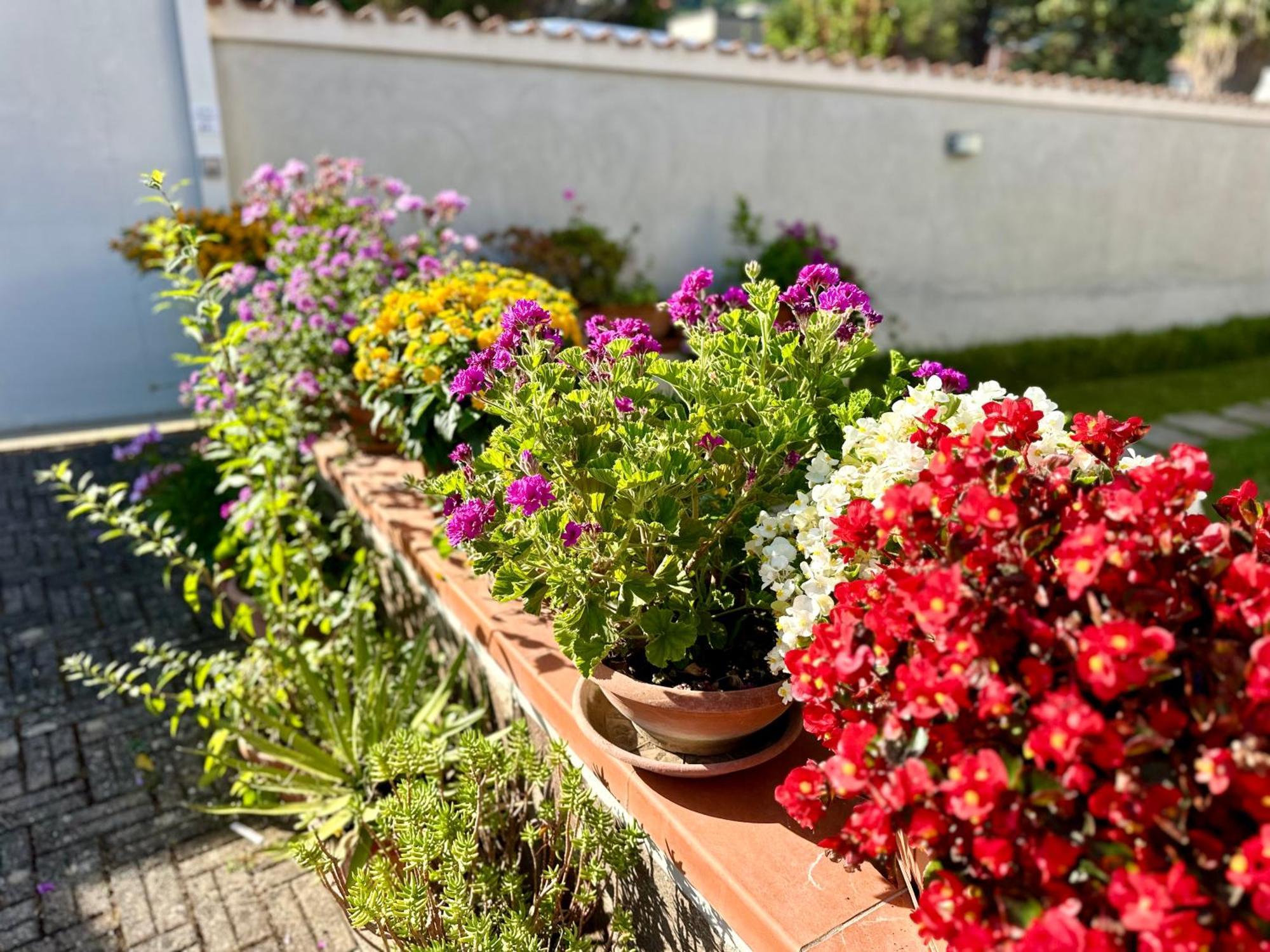 Invilla Bed&Breakfast - Quality Rooms Santa Maria di Castellabate Buitenkant foto