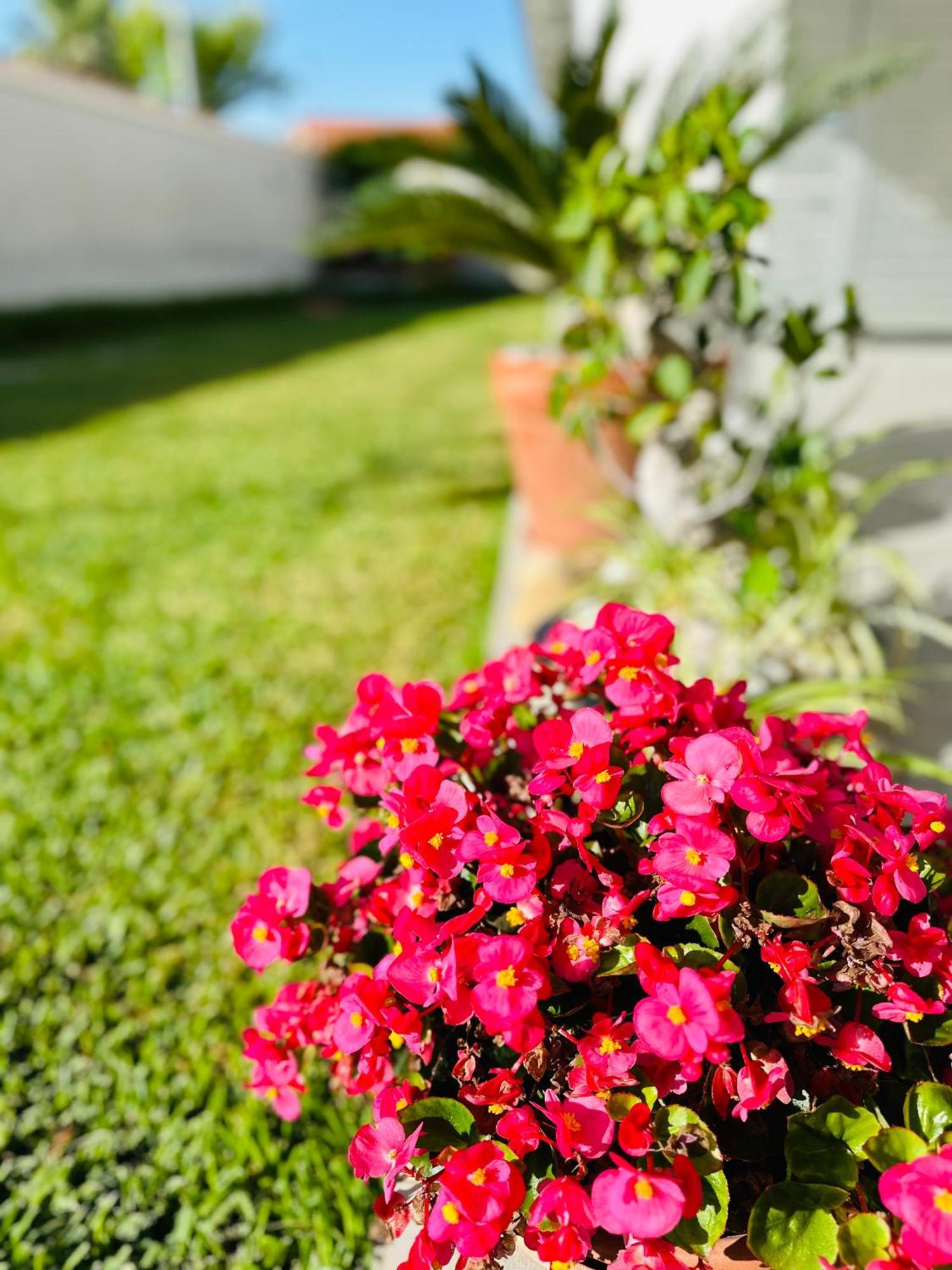 Invilla Bed&Breakfast - Quality Rooms Santa Maria di Castellabate Buitenkant foto